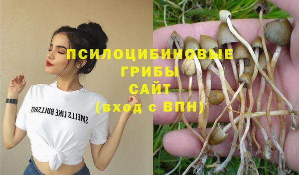 спиды Абдулино