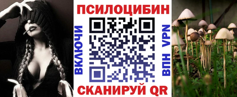 Псилоцибиновые грибы мицелий  shop клад  Троицк 