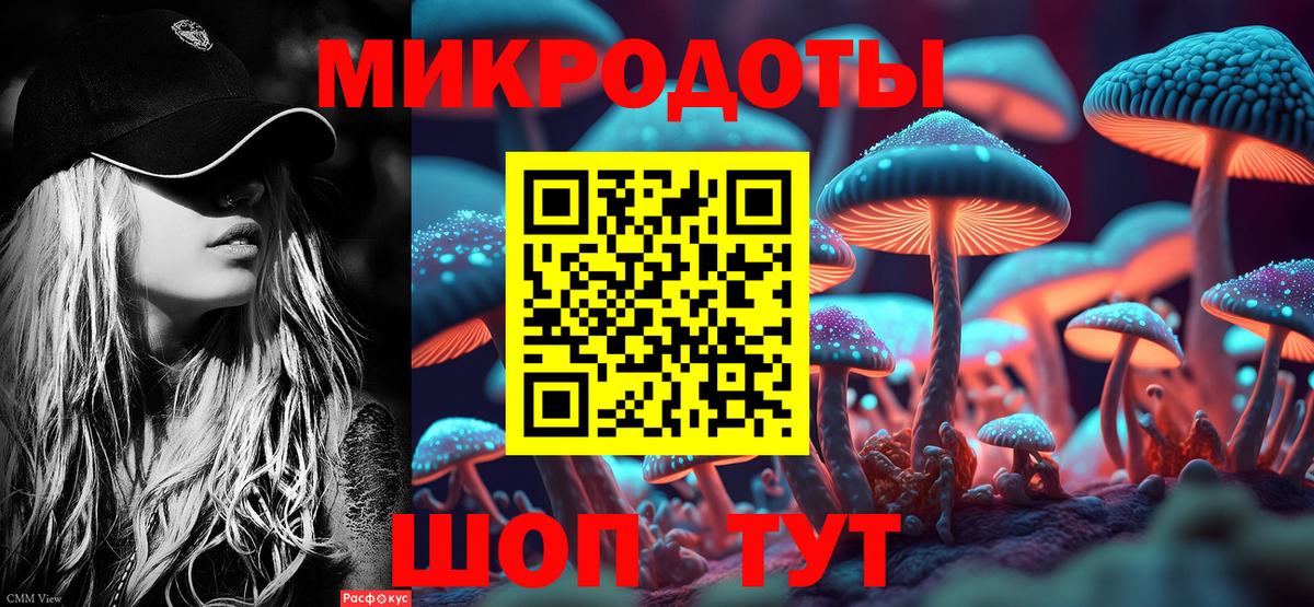 Псилоцибиновые грибы Cubensis Троицк