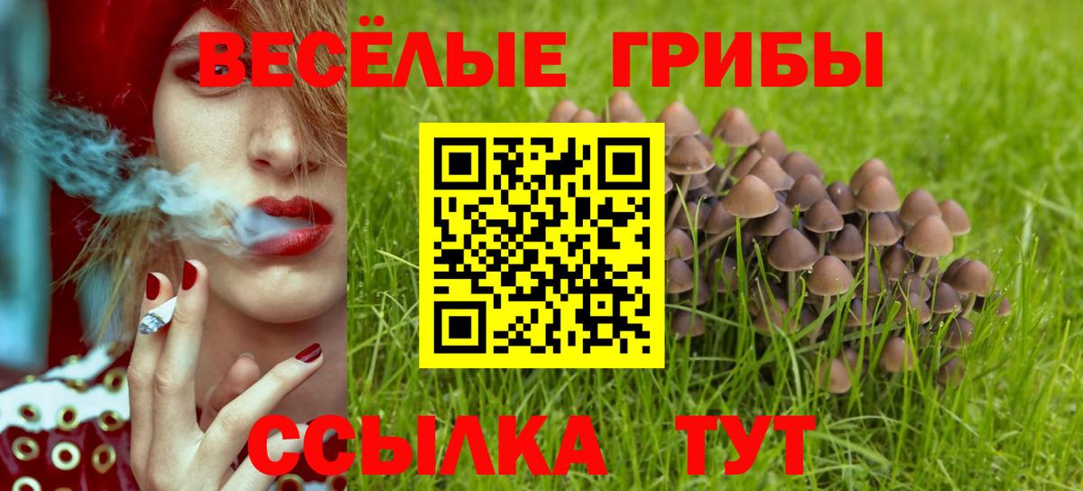 Галлюциногенные грибы Psilocybe  Вход с VPN  Троицк 
